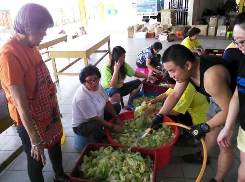 Vege washing, volunteers